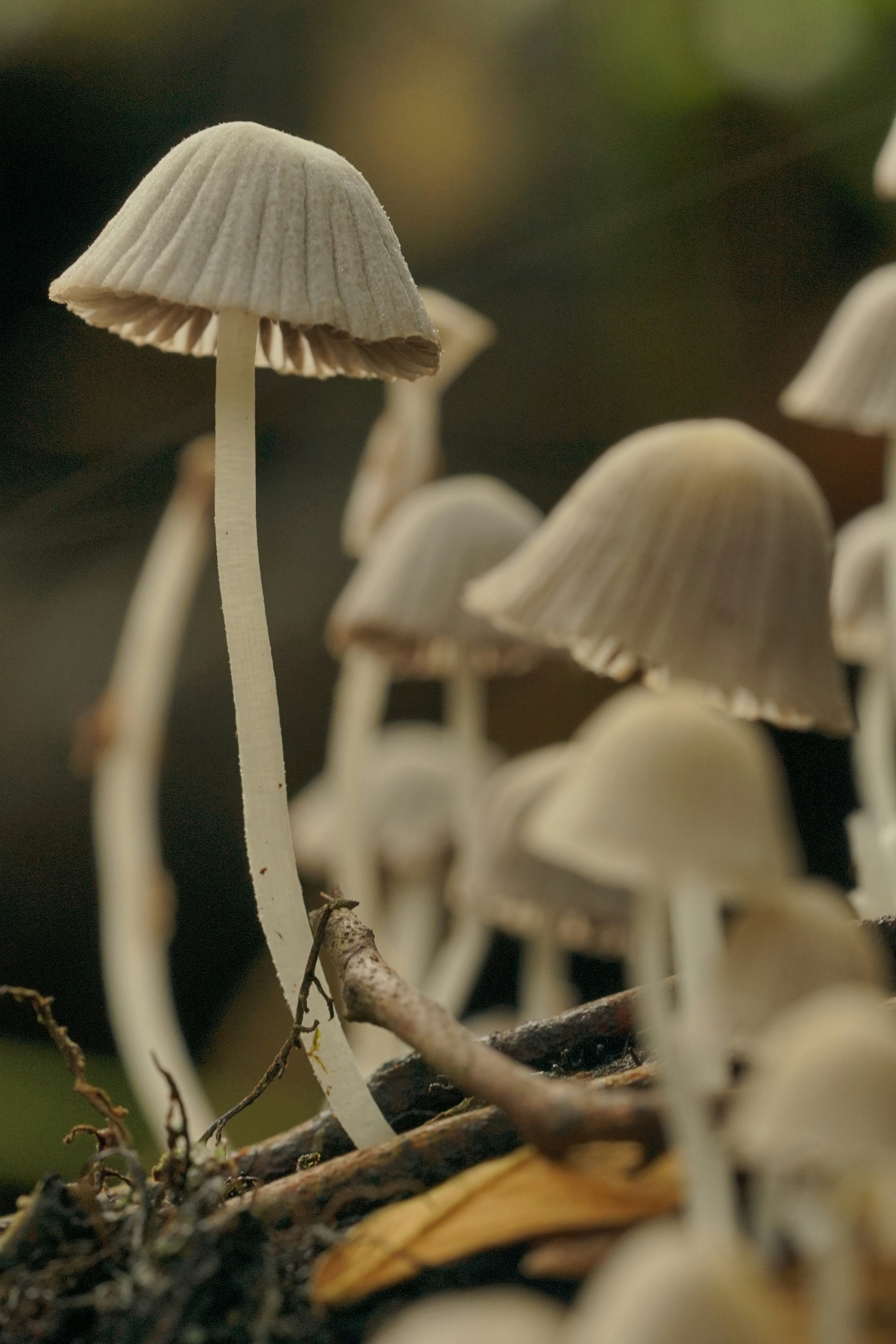 Photo by farhadedenia11