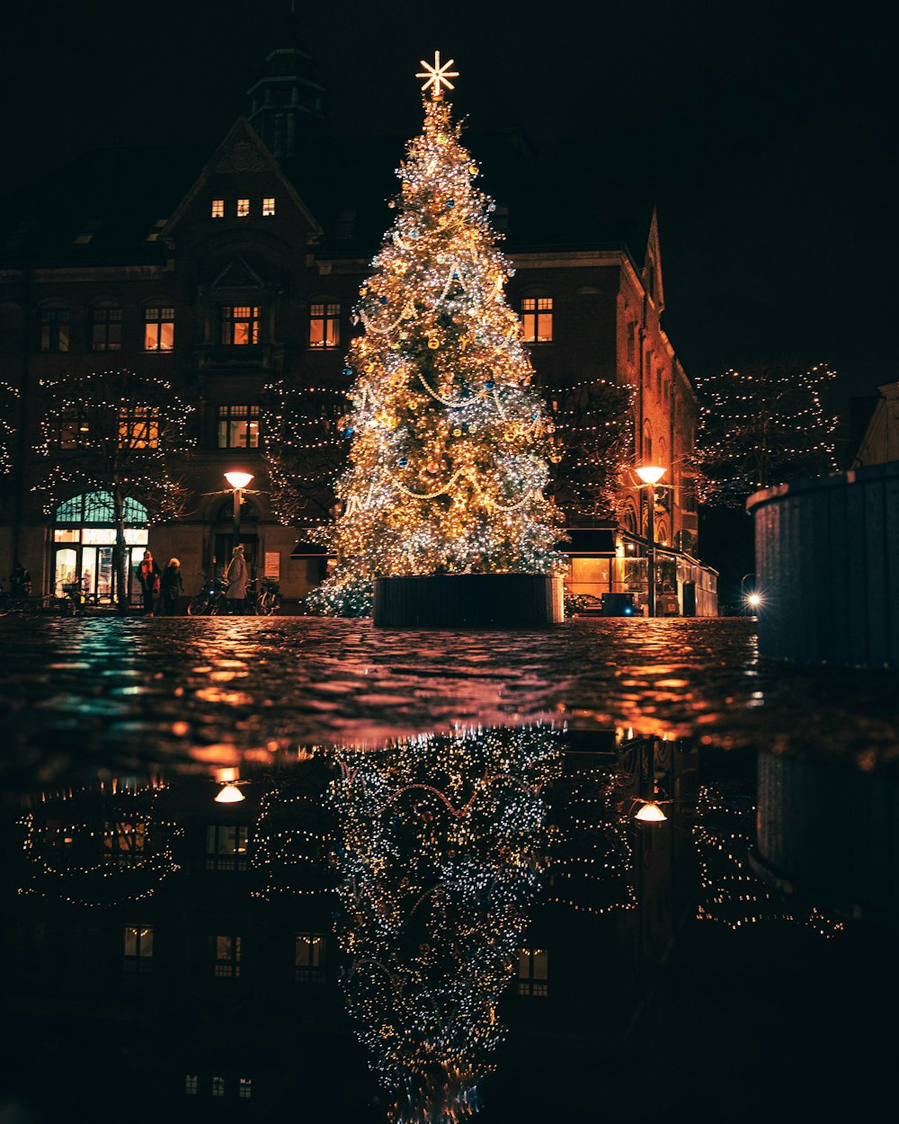 Un sapin de Noël allumé devant un immeuble
