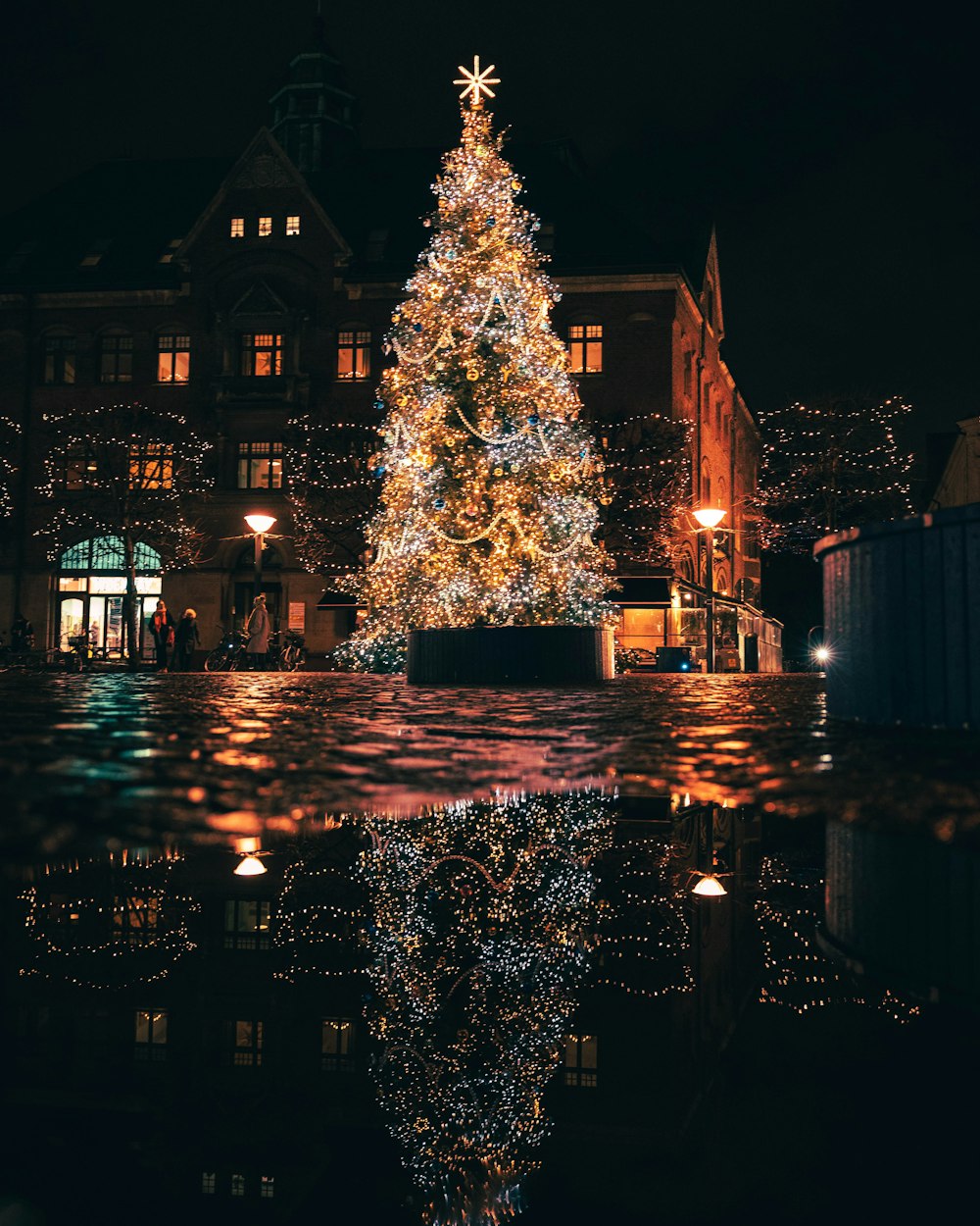 a lit christmas tree in front of a building