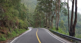 A winding mountain road surrounded by lush green forests.