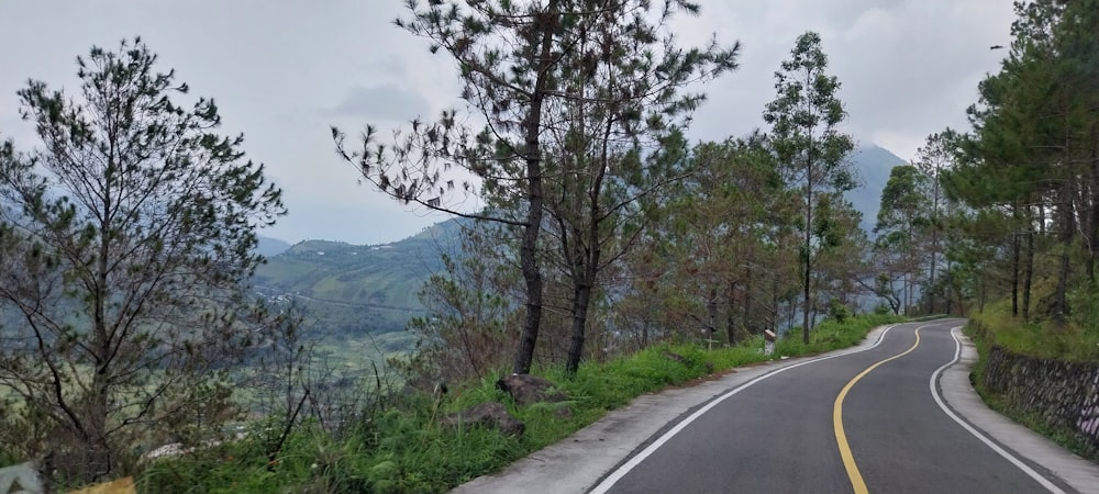 a curved road surrounded by trees and mountains