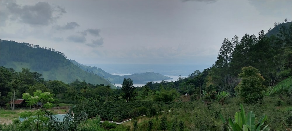 a view of a valley with a body of water in the distance