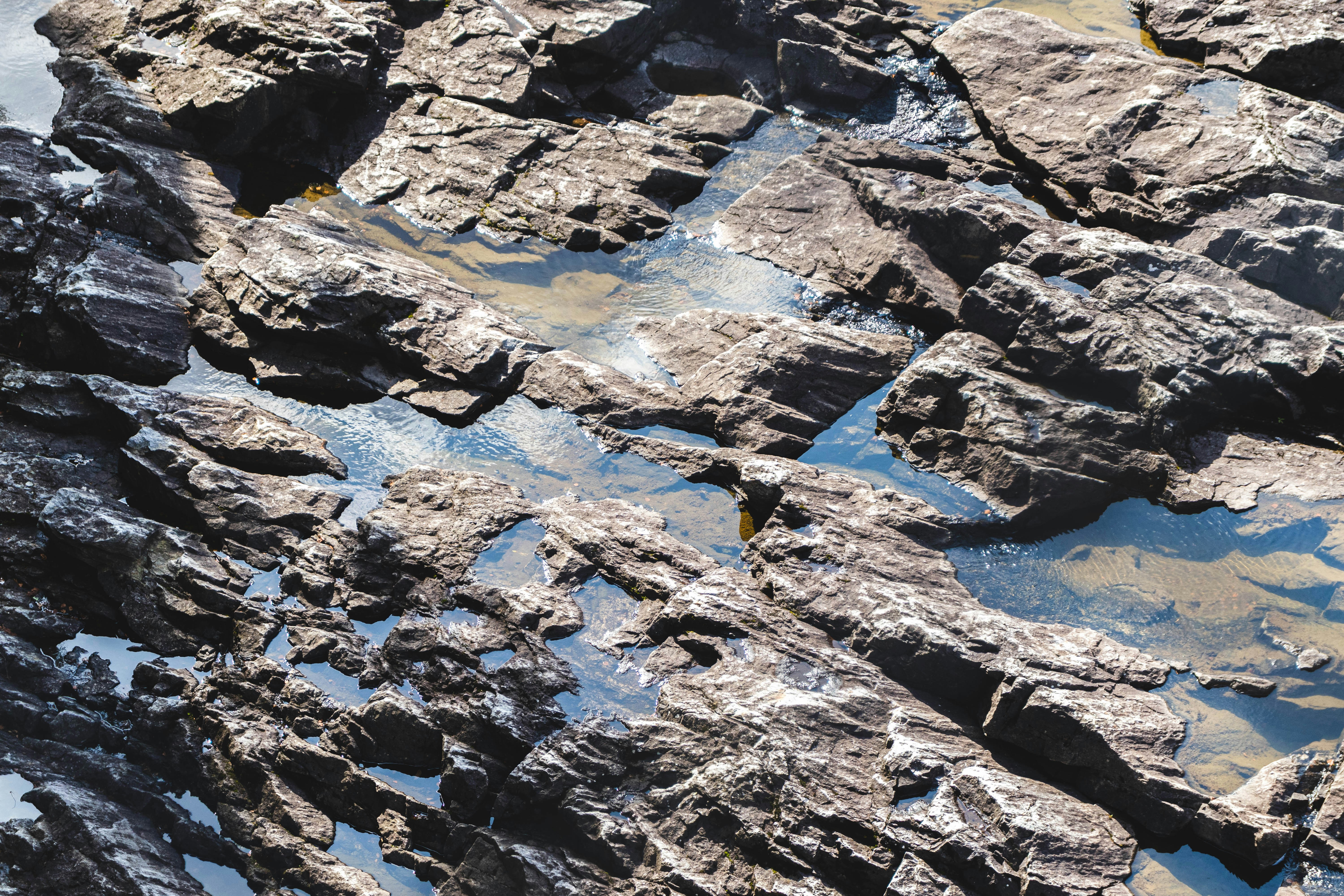 Photo by aleksander_b