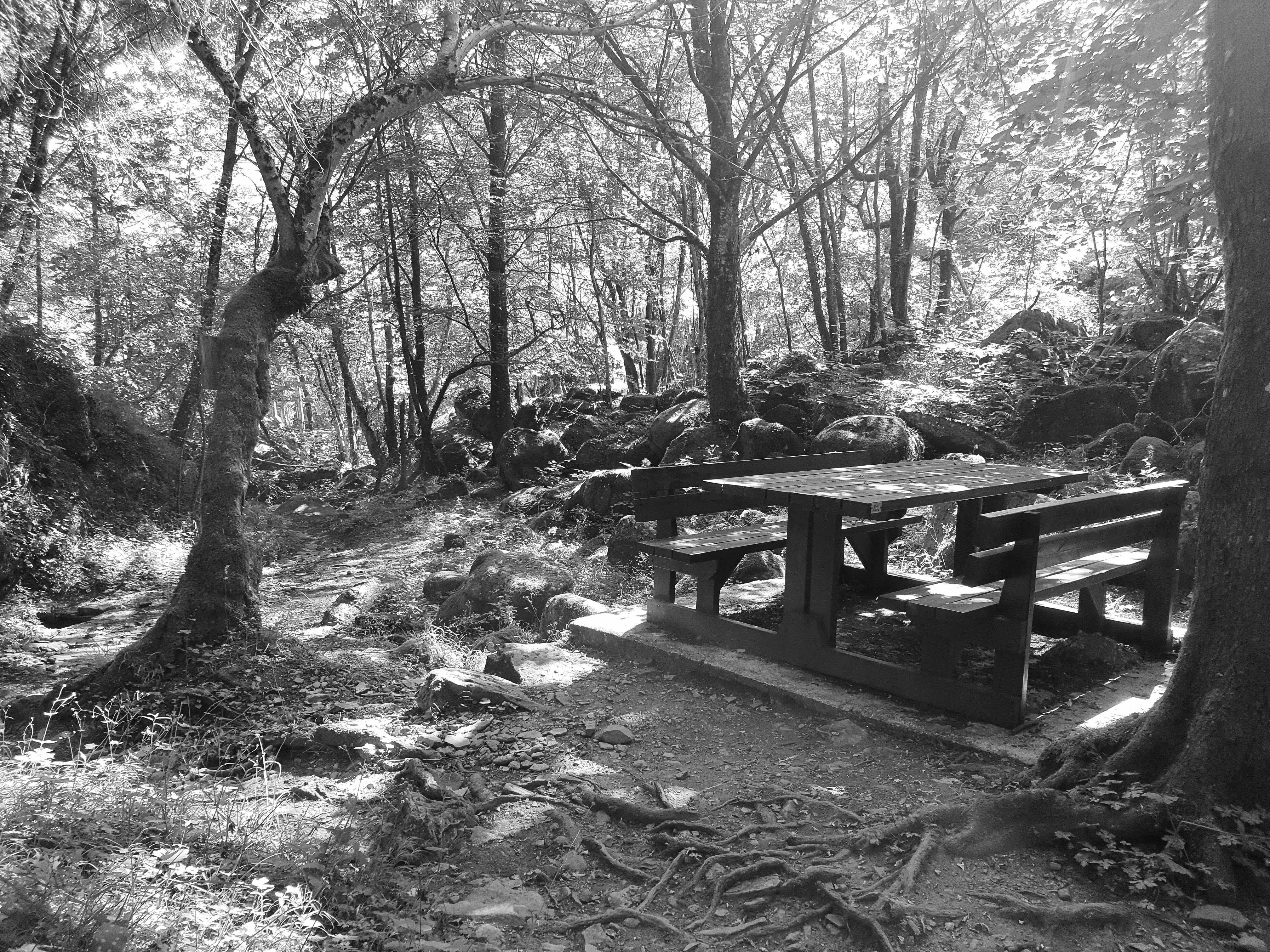 Photo by giulio_eugeni