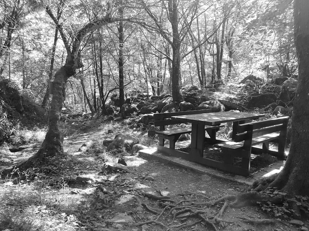 a black and white photo of a picnic table in the woods