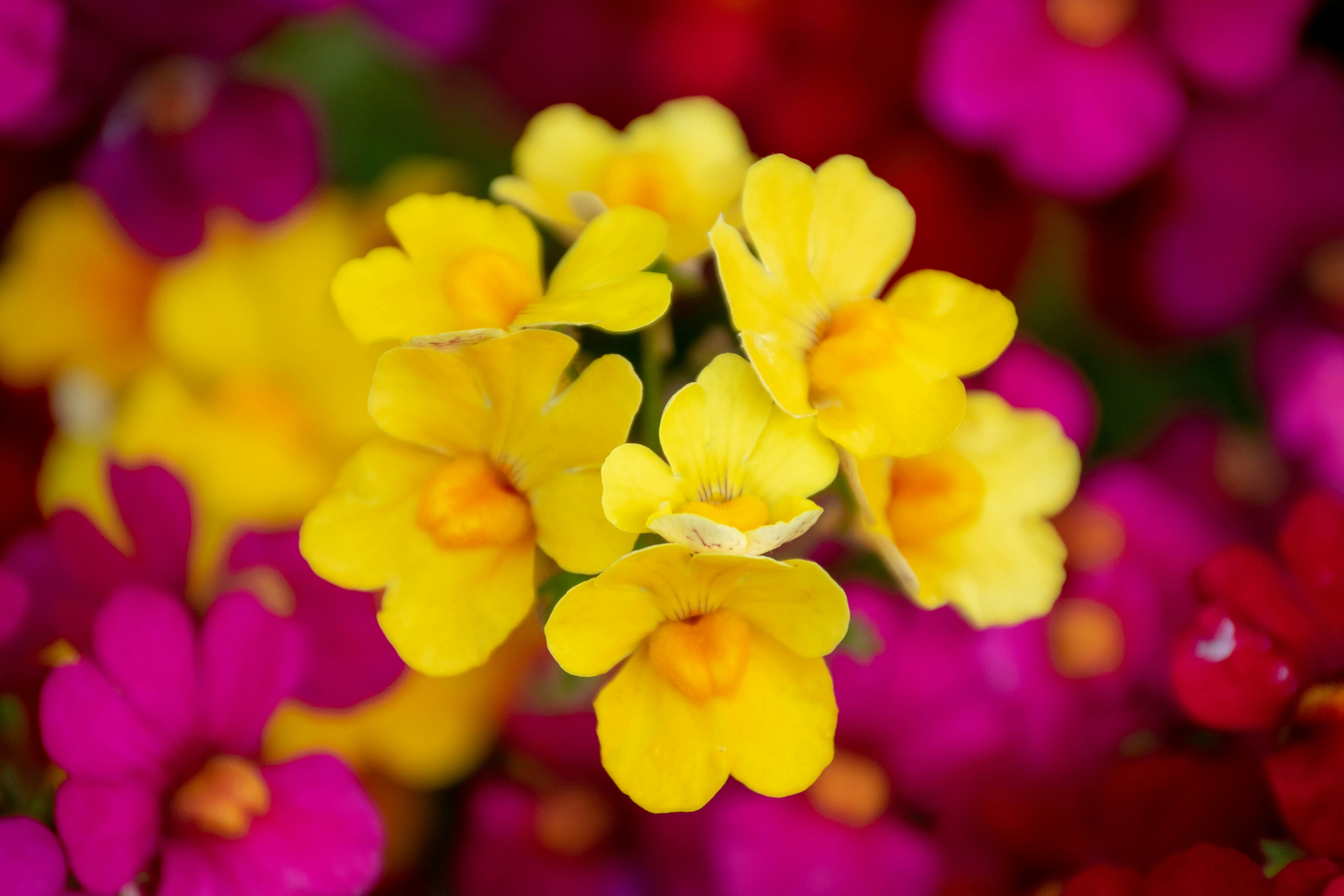 Photo by tmdesignsuk