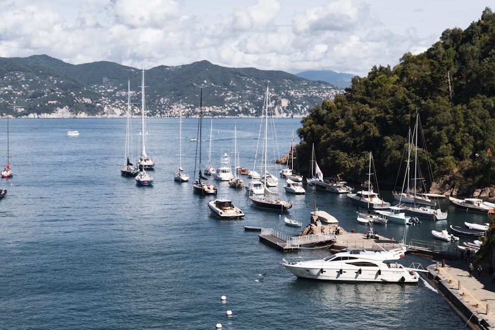 a group of boats floating on top of a body of water