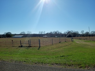 A vacant rural land lot with clear boundary markers under a bright sky