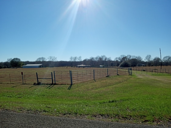 A vacant rural land lot with clear boundary markers under a bright sky