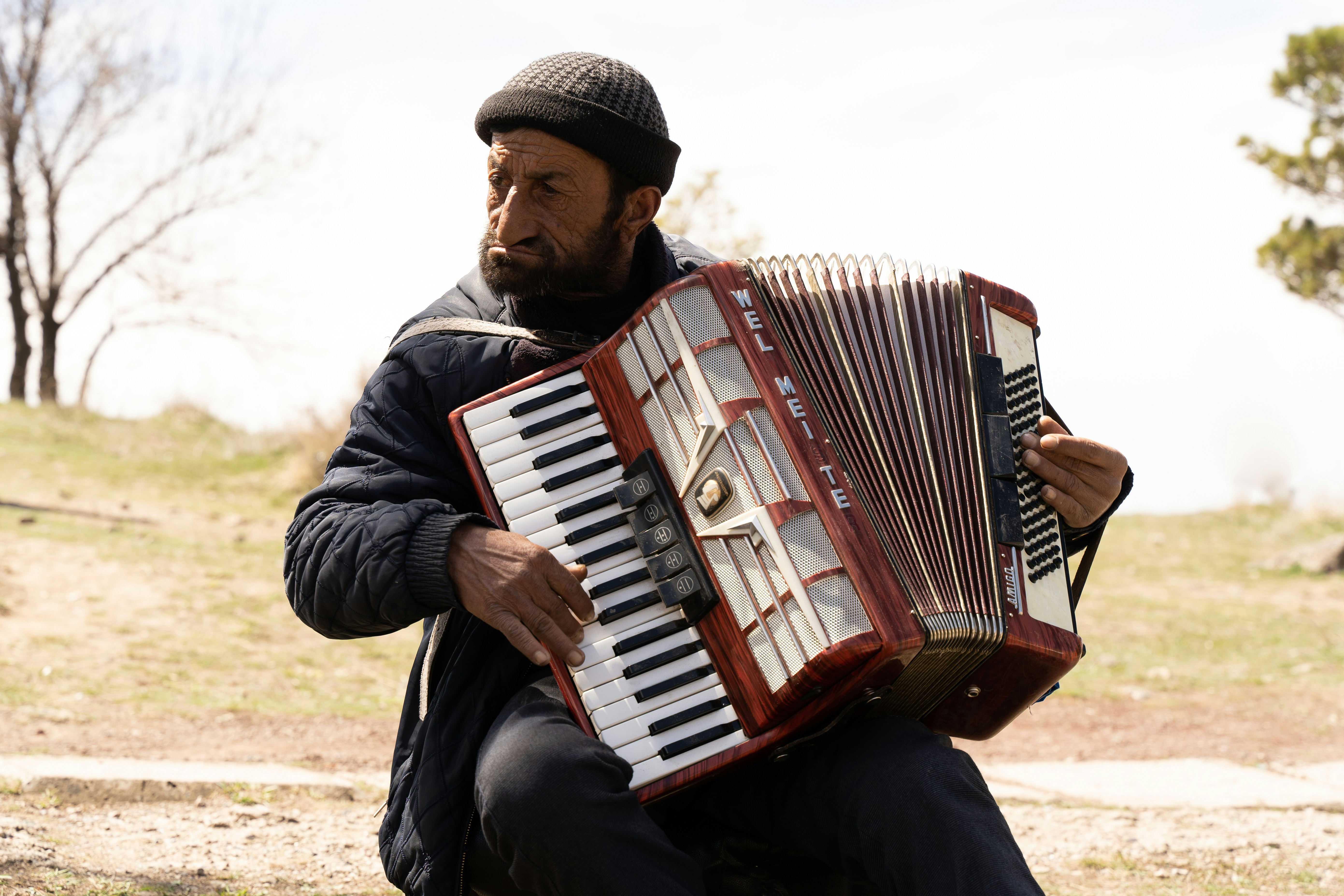 a man playing an accordion in a field