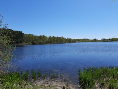 The serene waters of Loktak Lake in Manipur with floating phumdis under a clear blue sky.