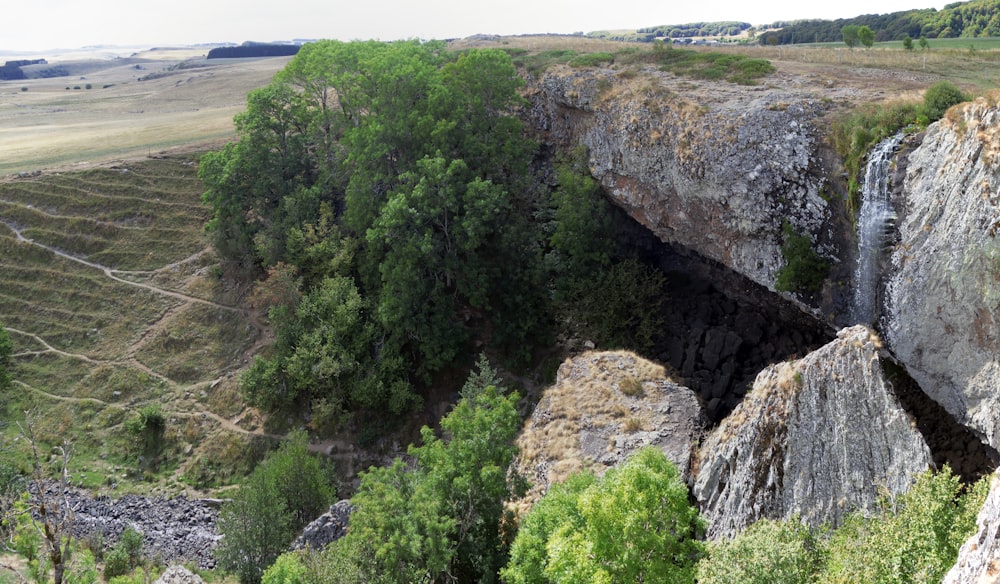 a large rock formation with trees growing out of it