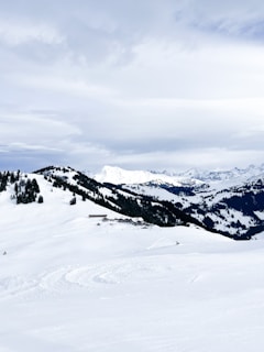 a man riding skis on top of a snow covered slope