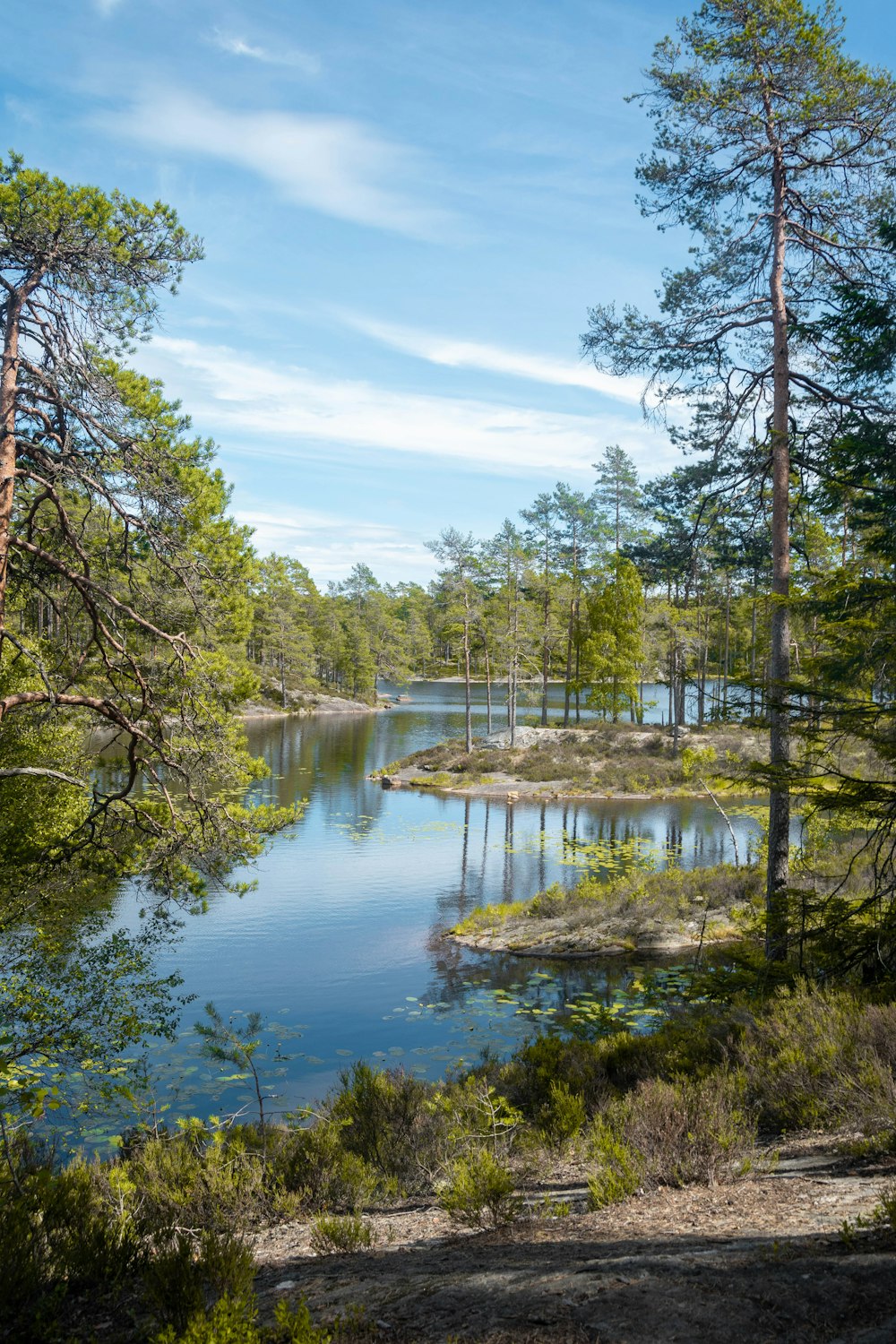 a large body of water surrounded by trees