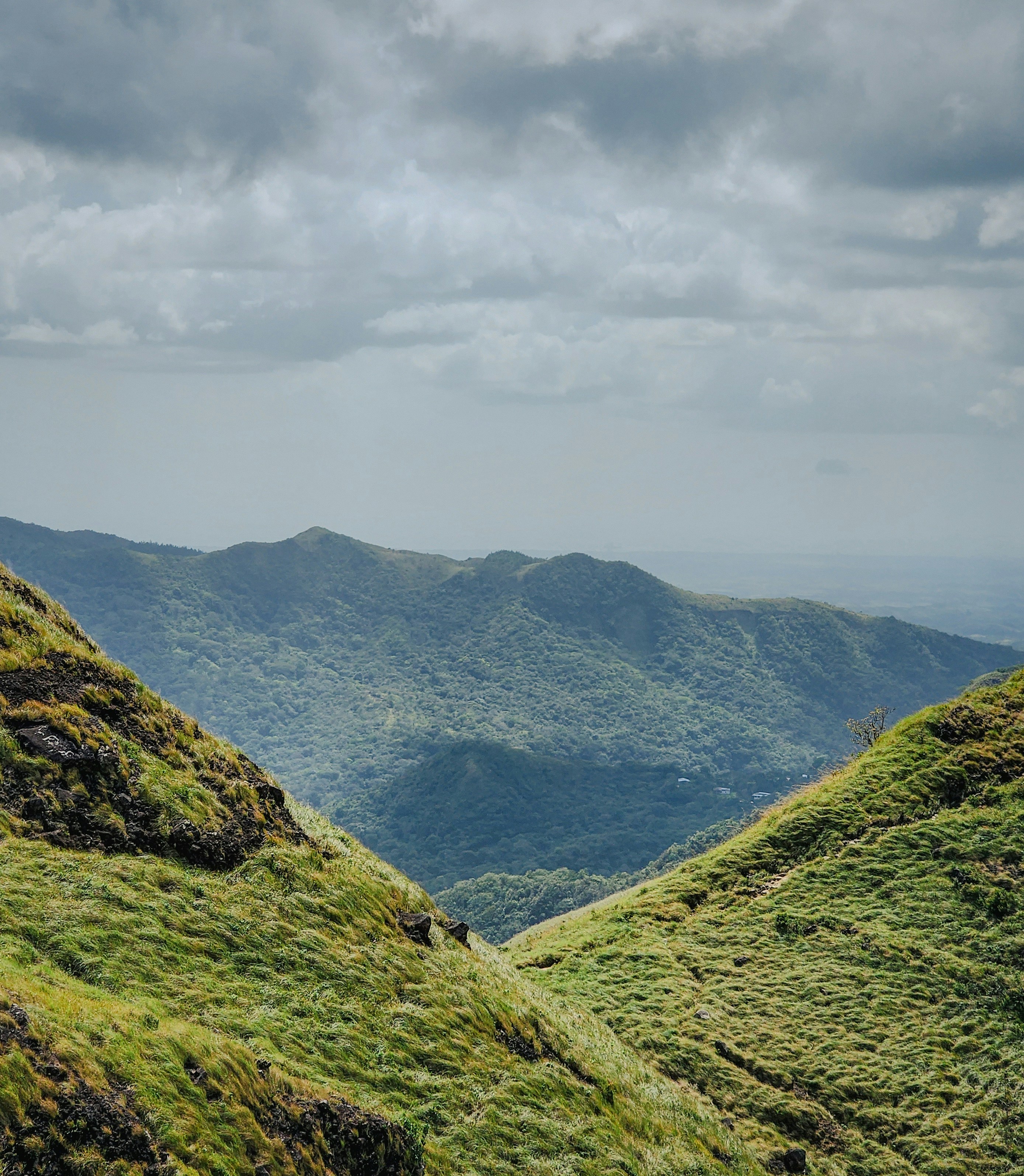 a view of a grassy hill with mountains in the distance