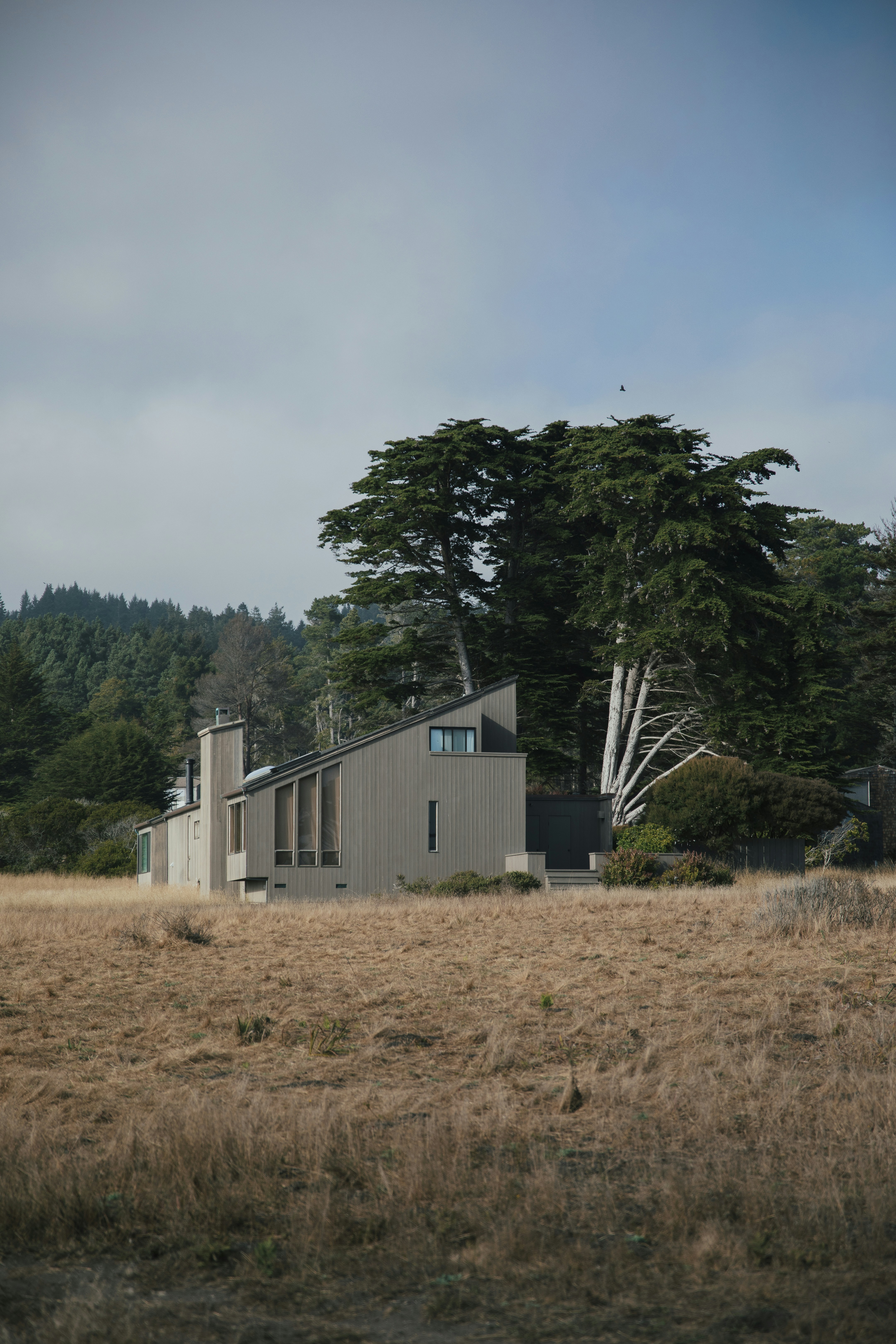 a house in a field with trees in the background