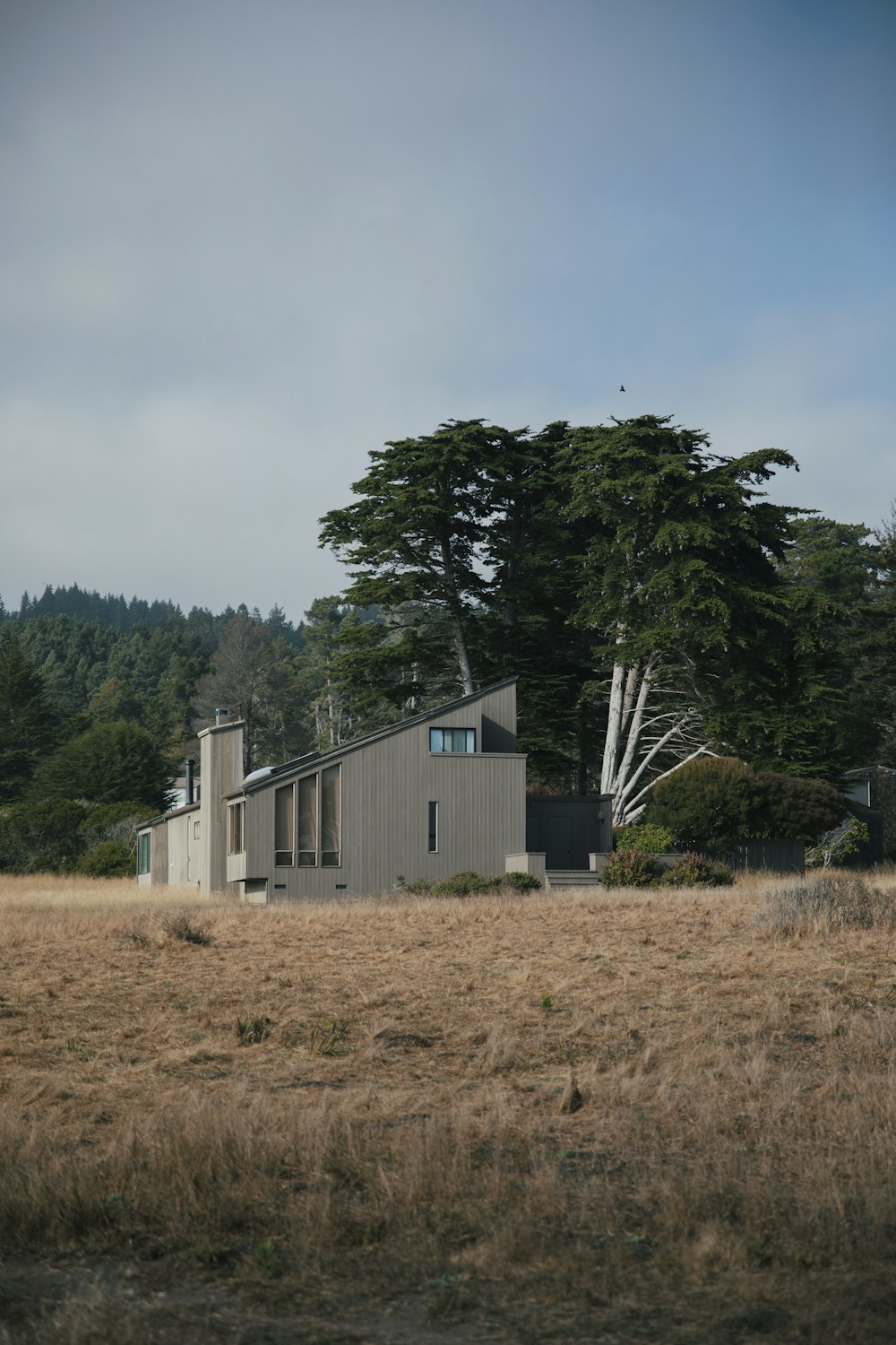 a house in a field with trees in the background