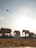 A group of elephant sculptures are arranged in a line under a bright sky. Birds are flying in the sky, creating a dynamic backdrop. A sandy foreground leads to a sign with text in Tamil, suggesting a cultural or thematic installation.