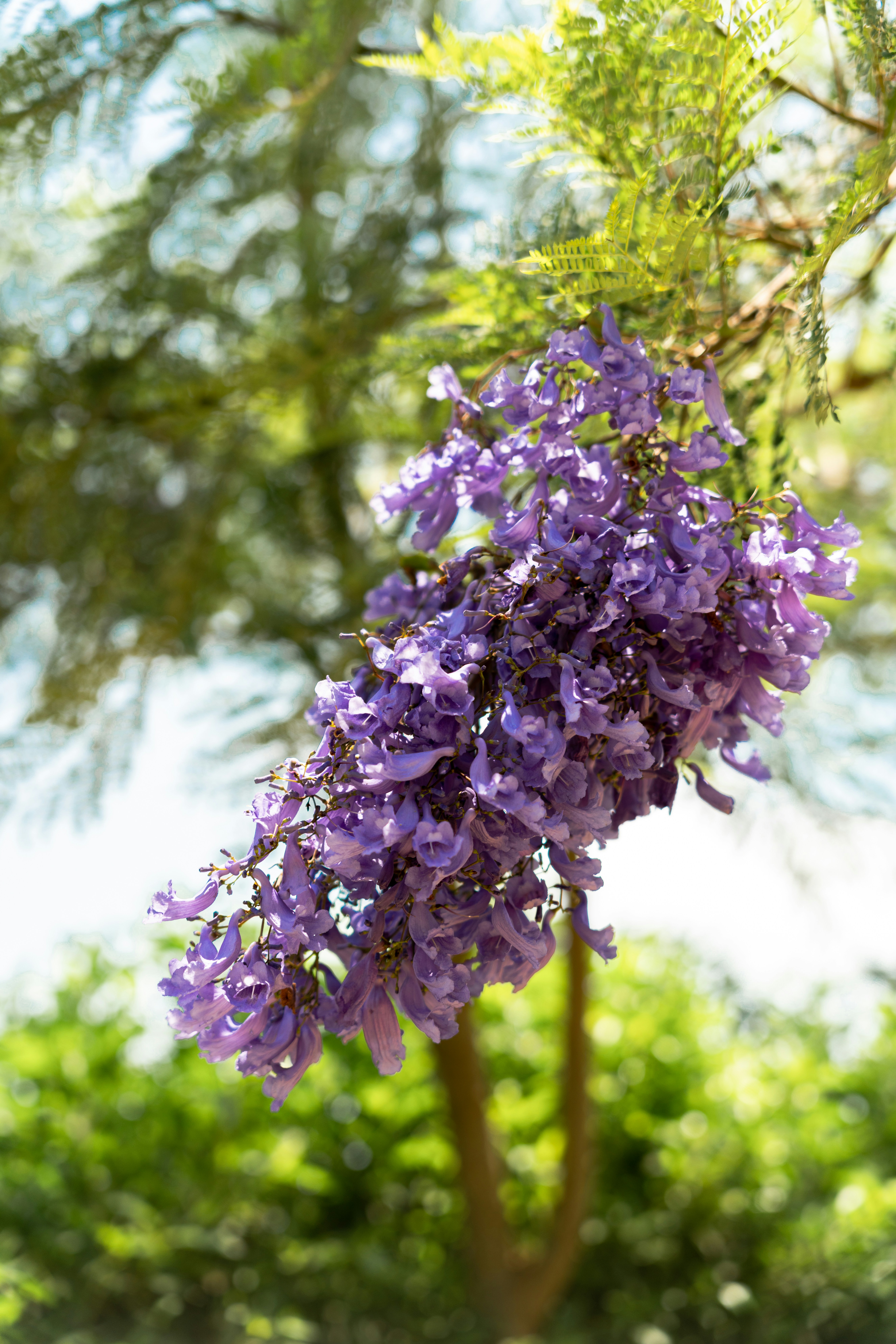 Photo by victorduenas