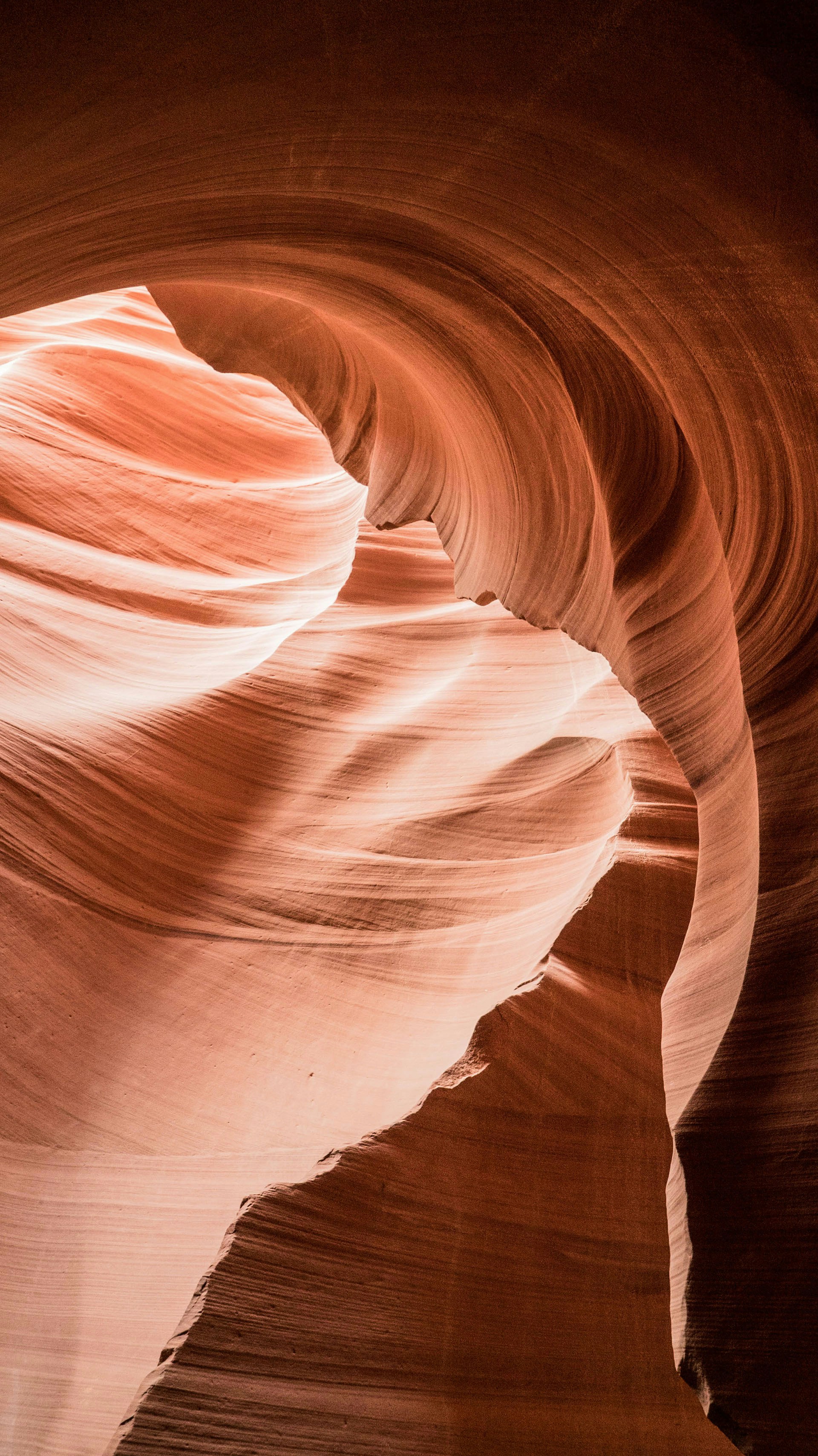 Photo by scottagoodwill