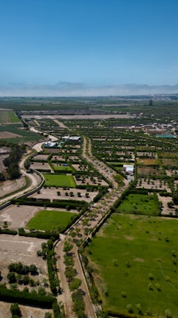 Exploring Agrotourism: A Journey into Sustainable Farming and Local Flavors