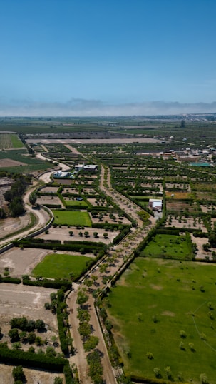 An expansive agricultural landscape with neatly arranged plots of land, bordered by rows of trees. The fields are a mix of green and brown, with some areas left fallow. A few buildings are scattered throughout, providing structure amidst the rural scenery. Dirt roads run parallel to the plots, enabling access across the farmland. A clear blue sky stretches above, enhancing the open, tranquil atmosphere.