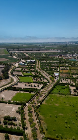 An expansive agricultural landscape with neatly arranged plots of land, bordered by rows of trees. The fields are a mix of green and brown, with some areas left fallow. A few buildings are scattered throughout, providing structure amidst the rural scenery. Dirt roads run parallel to the plots, enabling access across the farmland. A clear blue sky stretches above, enhancing the open, tranquil atmosphere.