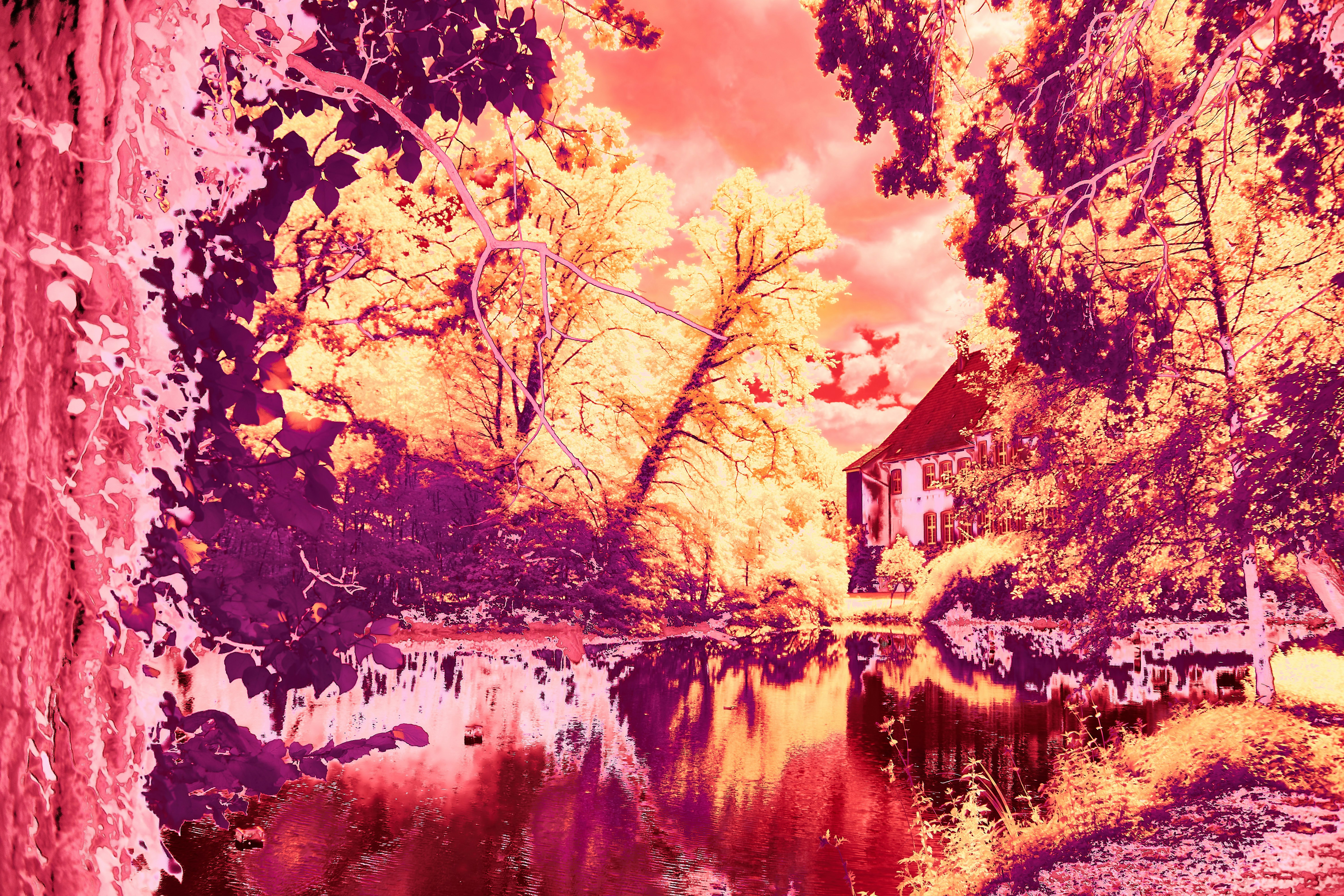 Photo by wolfgang_hasselmann