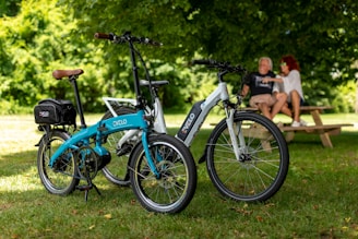 Two EVELO branded electric bikes are parked on a grassy area under the shade of trees. A couple is sitting on a picnic bench in the background, creating a relaxed and peaceful atmosphere. The scene suggests a leisurely outdoor setting, ideal for biking and enjoying nature.