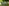 Two EVELO branded electric bikes are parked on a grassy area under the shade of trees. A couple is sitting on a picnic bench in the background, creating a relaxed and peaceful atmosphere. The scene suggests a leisurely outdoor setting, ideal for biking and enjoying nature.
