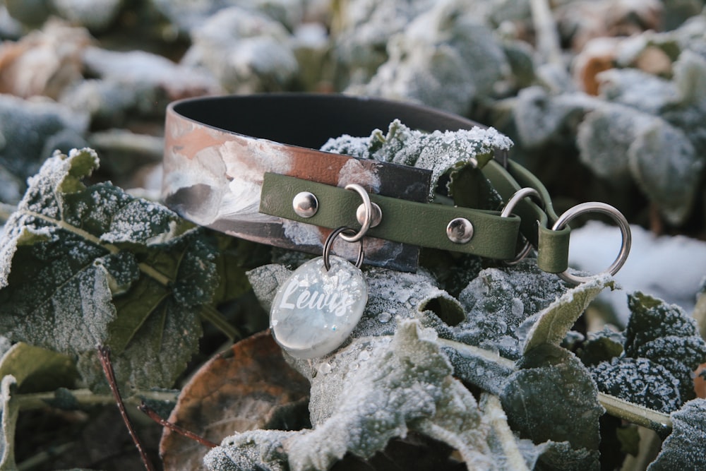 a close up of a leather bracelet on a plant