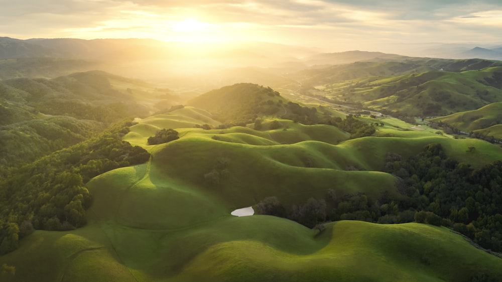 uma vista aérea de colinas verdes e árvores