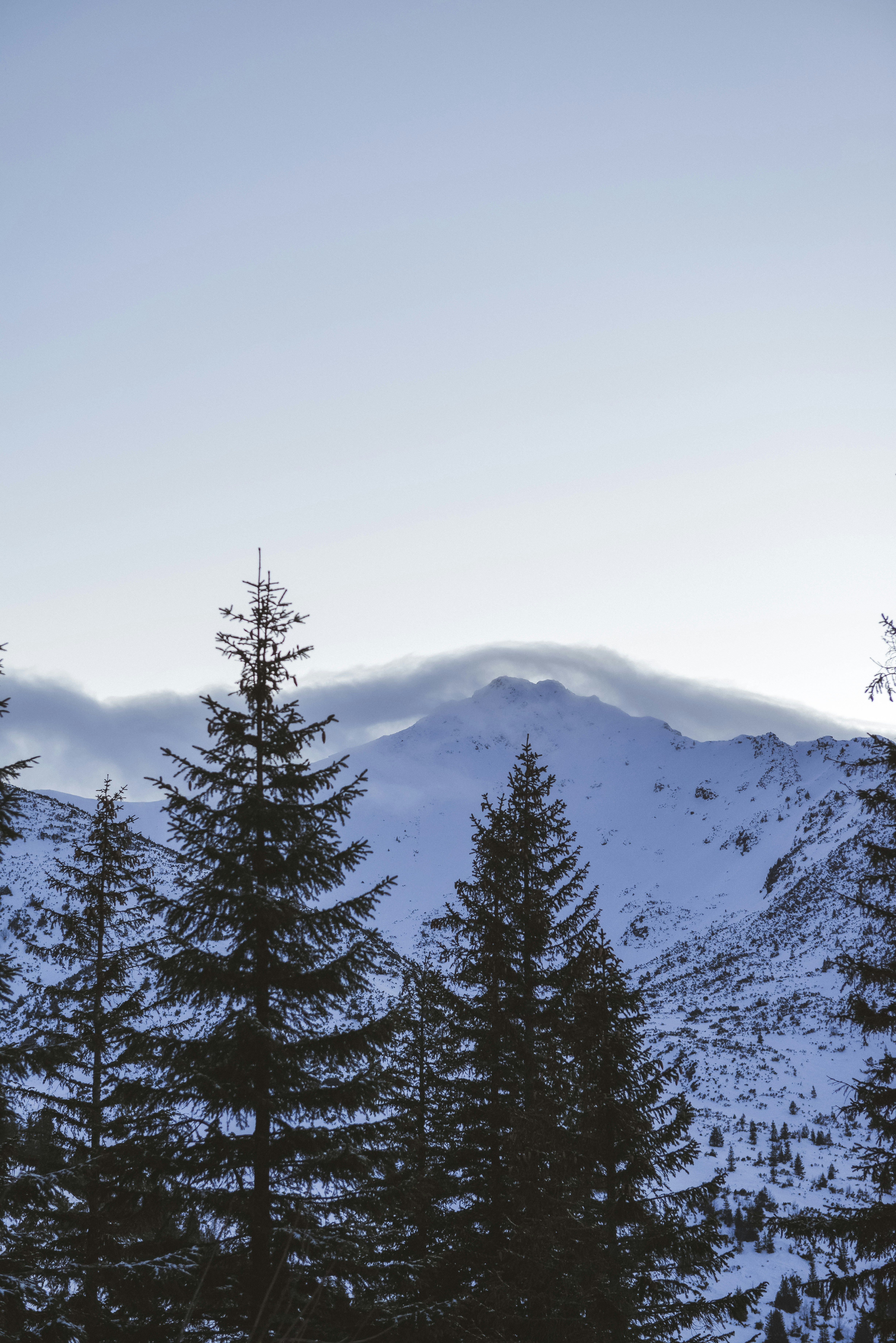 Photo by alexandra_p_d