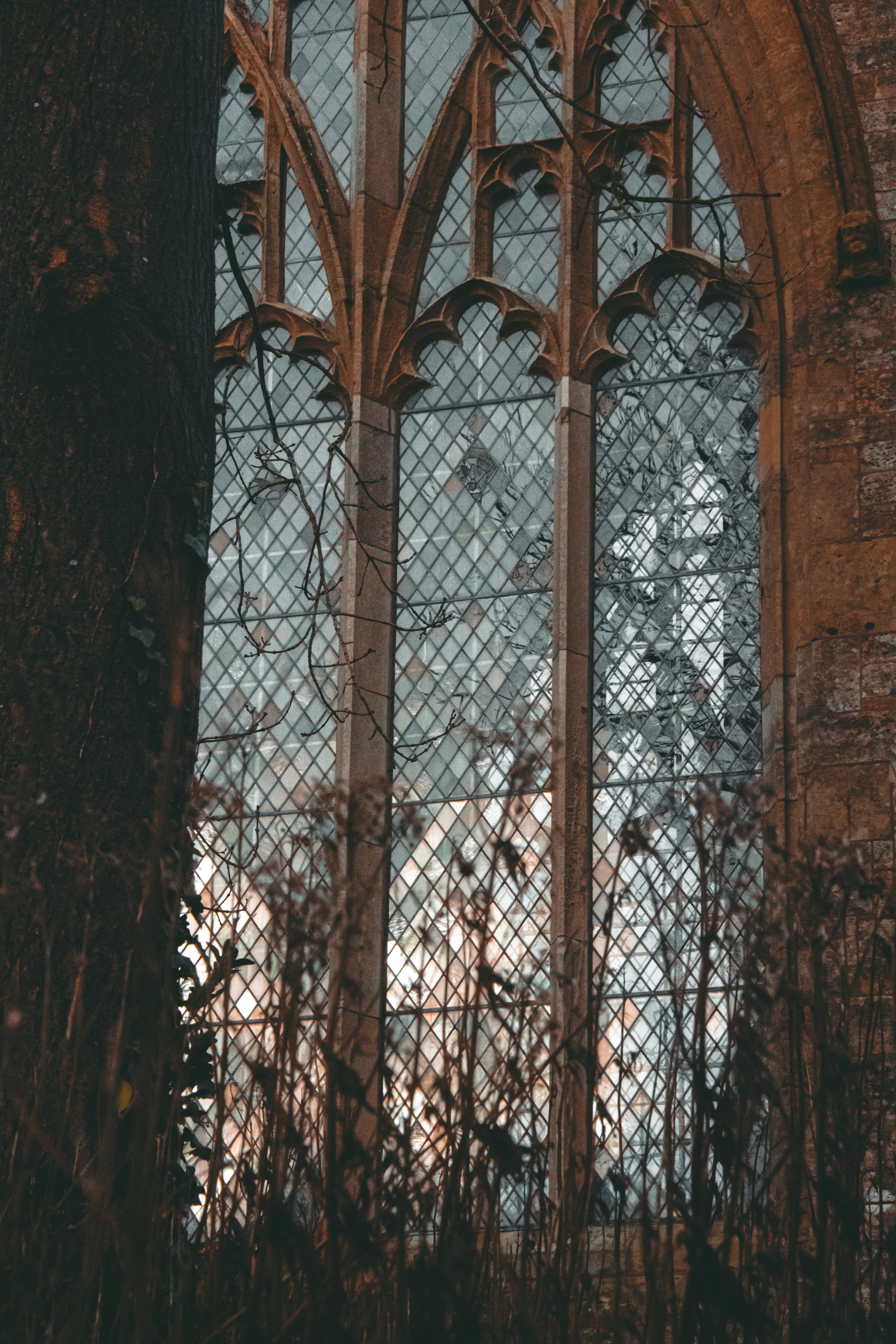 Photo by charlieh_viewfinder