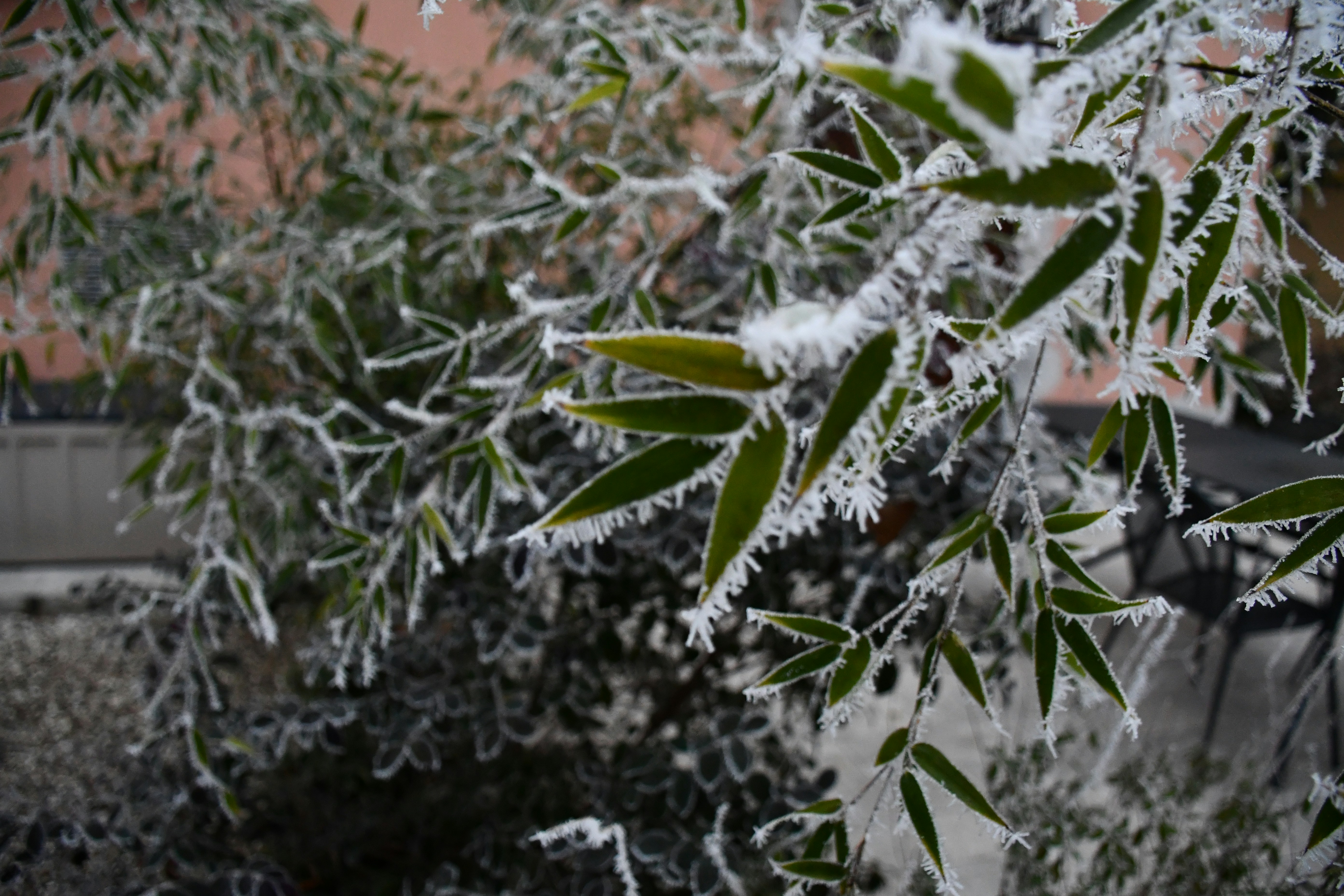 Photo by giulio_eugeni