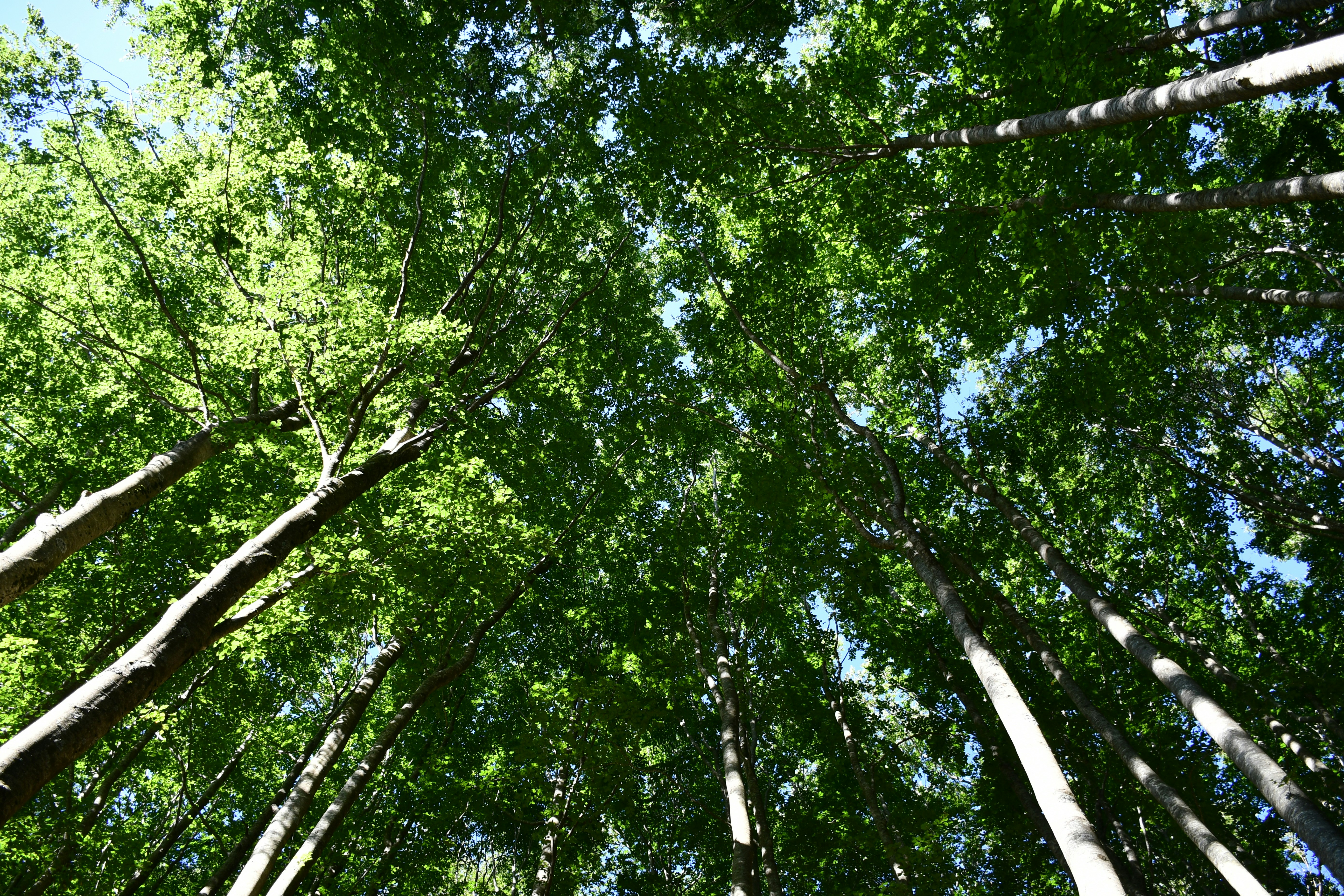 Photo by giulio_eugeni