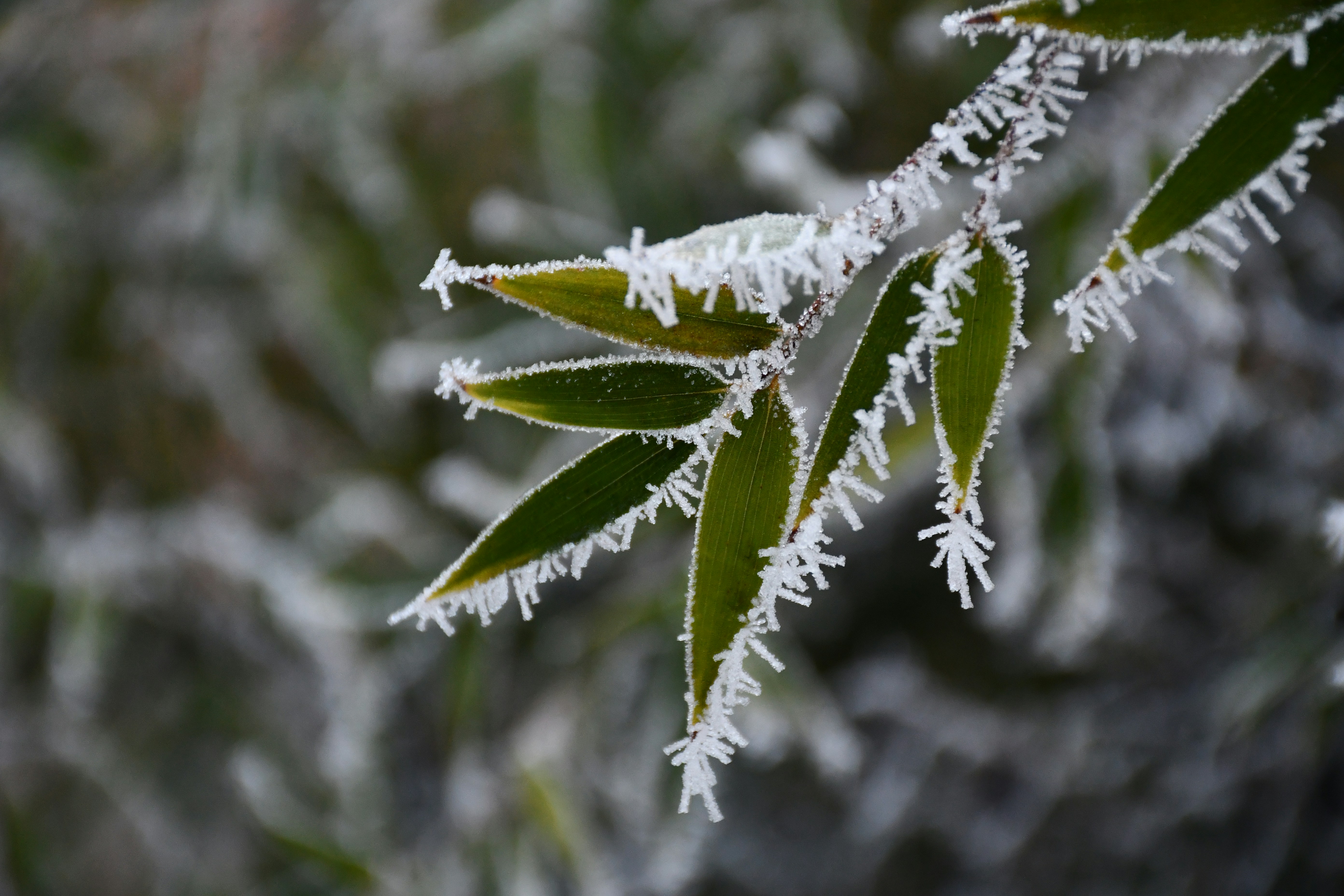 Photo by giulio_eugeni