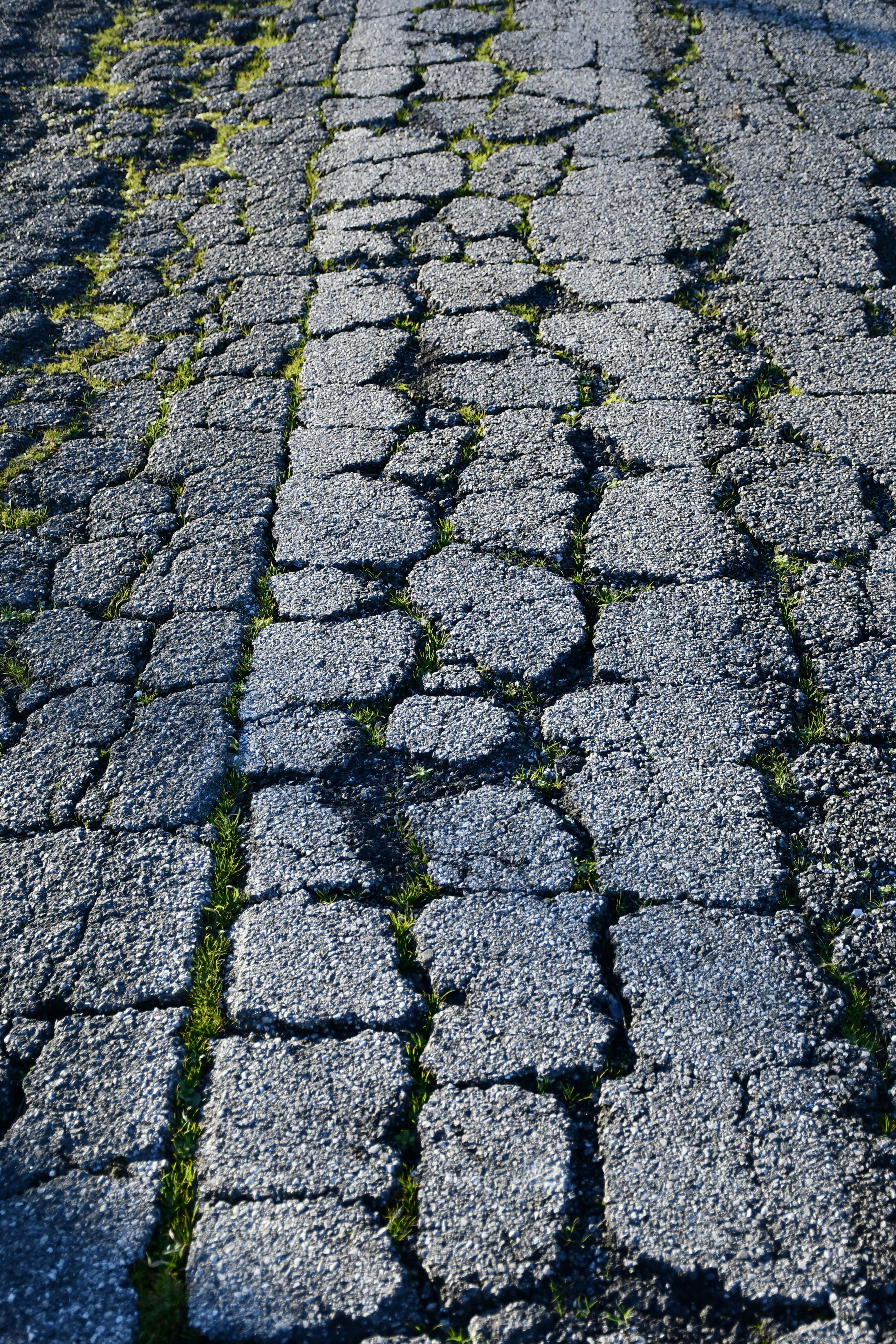 Photo by giulio_eugeni