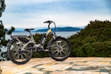 Close-up of a sleek electric bike parked near coastal vegetation.