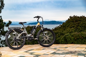 Electric Motorcycle Collection