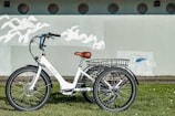 A white electric tricycle with a brown seat is parked on green grass in front of a light blue wall. The tricycle features a large basket at the rear and is equipped with three large wheels. The wall behind is decorated with a mural of white birds and a stylized blue fish. Circular windows are visible along the top of the wall.