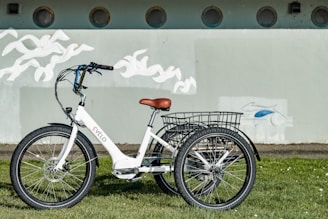 An electric tricycle parked on a rural farm road under clear skies.
