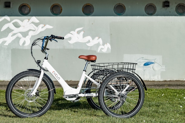 An electric tricycle parked on a rural farm road under clear skies.