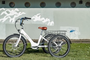 A white electric tricycle with a brown seat is parked on green grass in front of a light blue wall. The tricycle features a large basket at the rear and is equipped with three large wheels. The wall behind is decorated with a mural of white birds and a stylized blue fish. Circular windows are visible along the top of the wall.