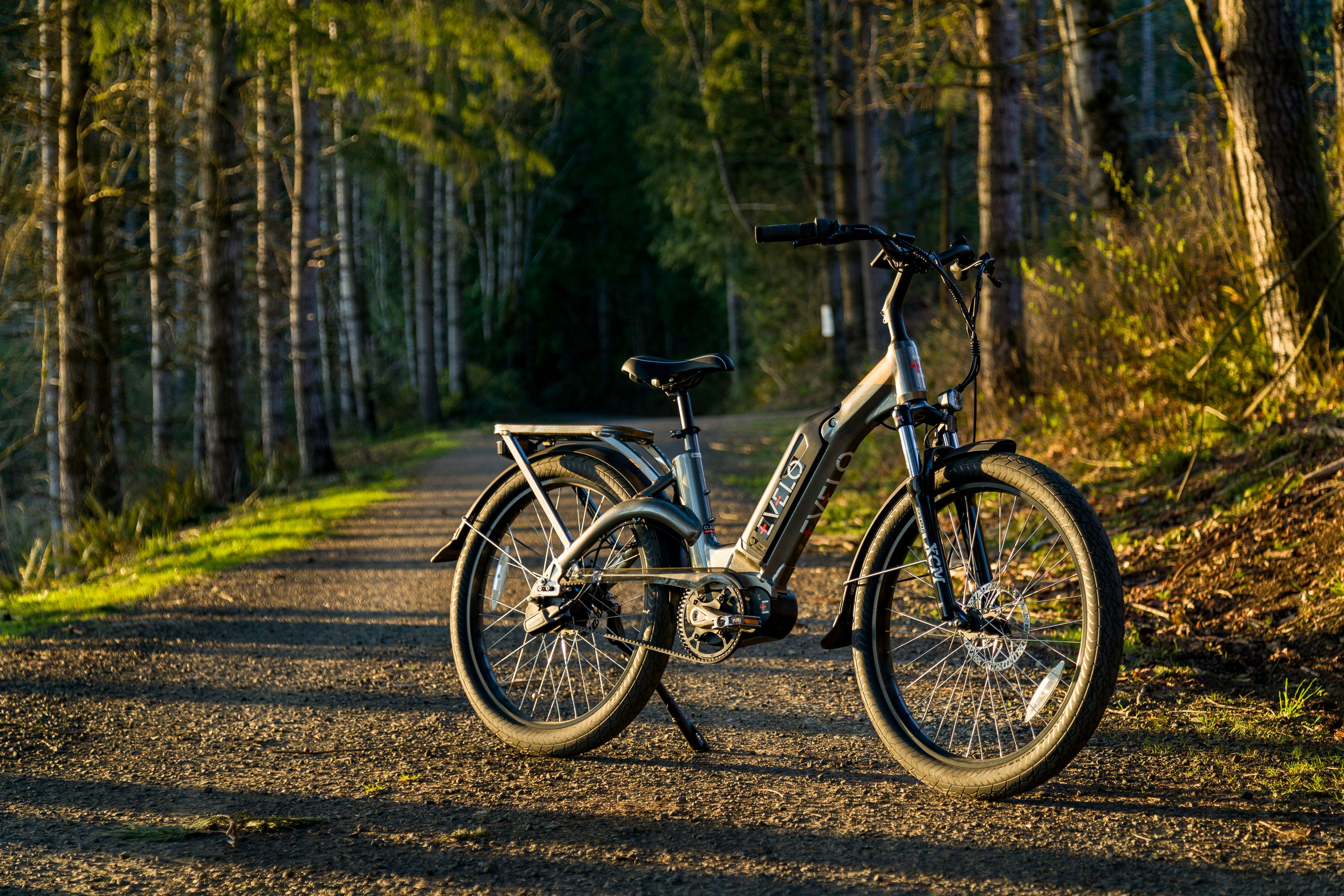 a bike parked on a dirt road in the woods