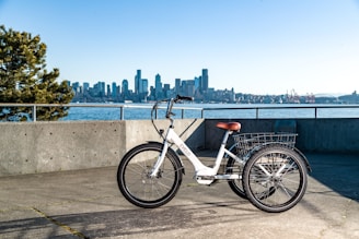 A white tricycle with a basket parked on a paved area near a concrete barrier. In the background, a large body of water and a city skyline with tall buildings are visible under a clear blue sky. A tree is on the left side of the image.