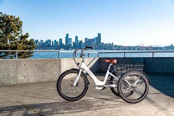 A white tricycle with a basket parked on a paved area near a concrete barrier. In the background, a large body of water and a city skyline with tall buildings are visible under a clear blue sky. A tree is on the left side of the image.