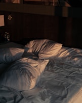 An intimate bedroom scene at dawn, with crumpled sheets and a half-opened book on the bedside.