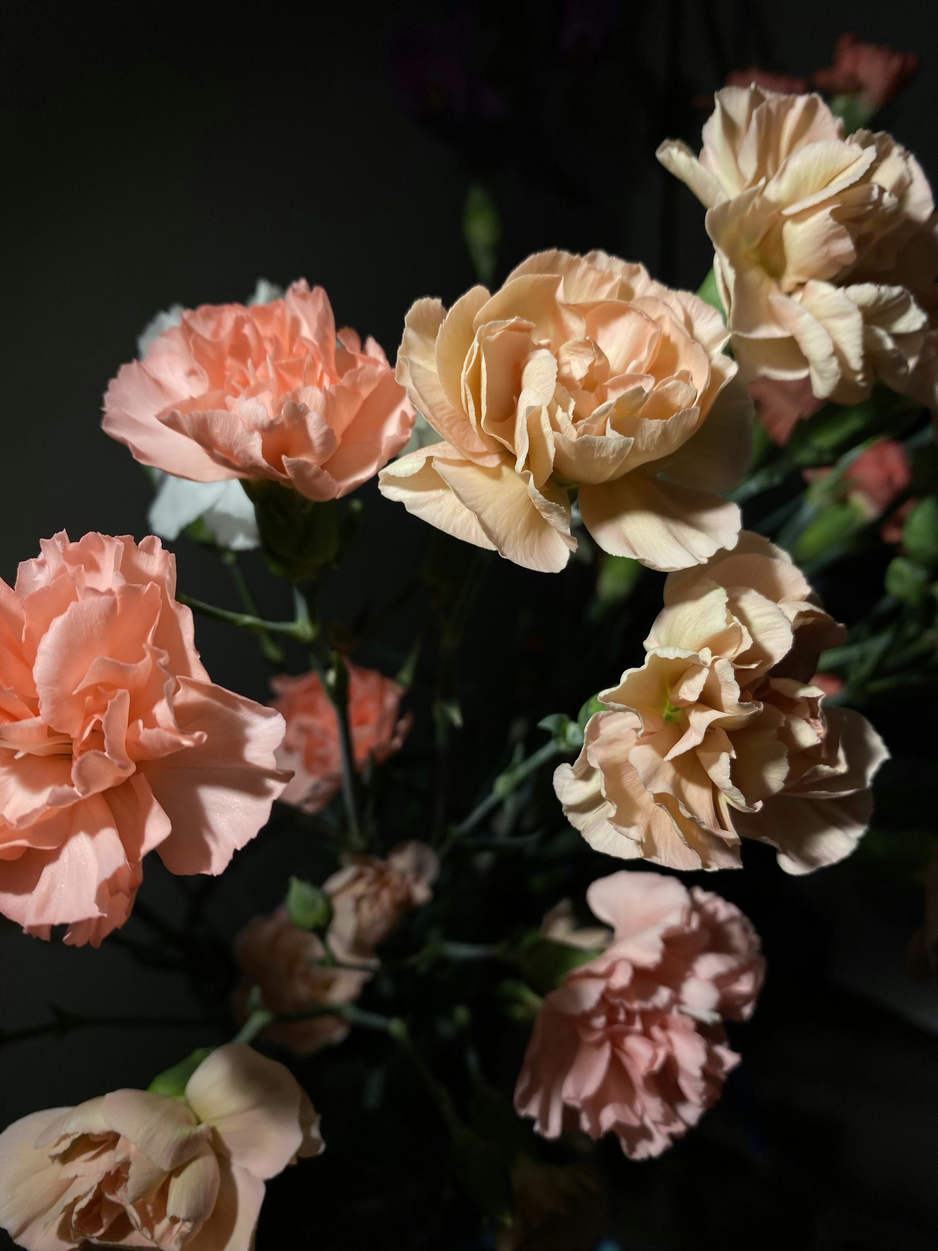 Photo by nadzeya1104