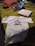 A casual setting featuring a bed with a laptop, a white T-shirt with the text 'WE SHOULD ALL BE FEMINISTS', a pizza box, and a game controller. The bed has a green cover and pillows, creating a cozy atmosphere.
